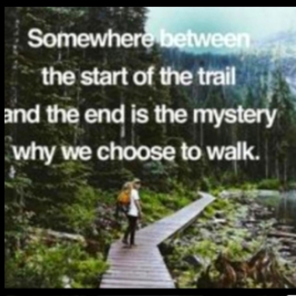 π
π» Christmas Dinnerware Charlton Hall 10 1/2" Plate VNPLC - Picture 13 of 15